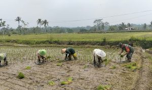 IMG-20260819-WA0081